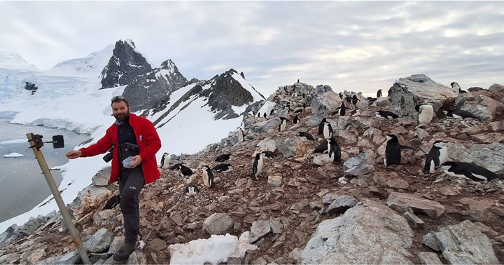 Los pingüinos 1