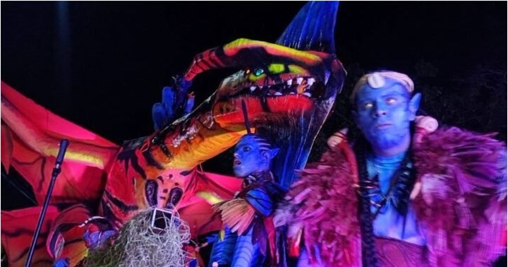 Carúpano Carnaval 2026 4