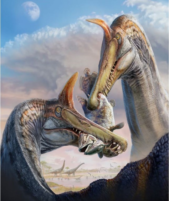 Dinosaurio en el Sáhara 1