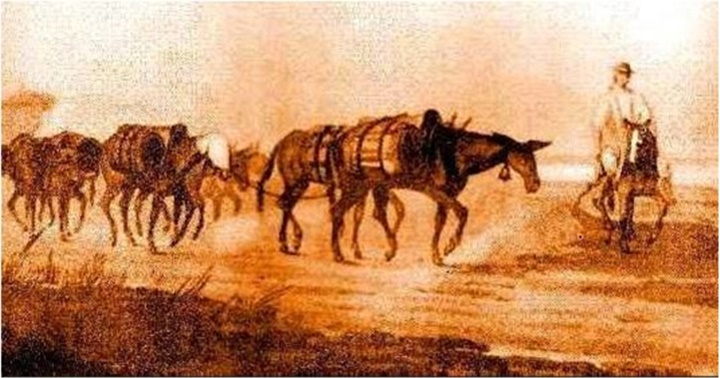Caracas 1734