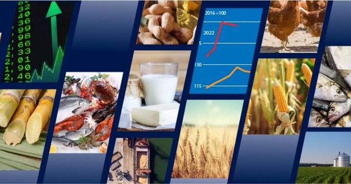 Alimentos FAO