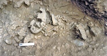 Amud 7 el bebé neandertal