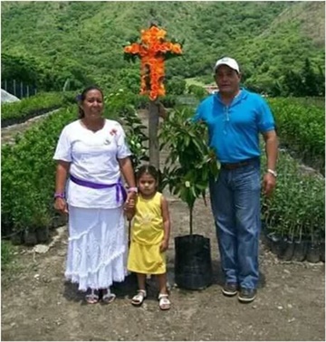 Cruz de Mayo Venezuela 1