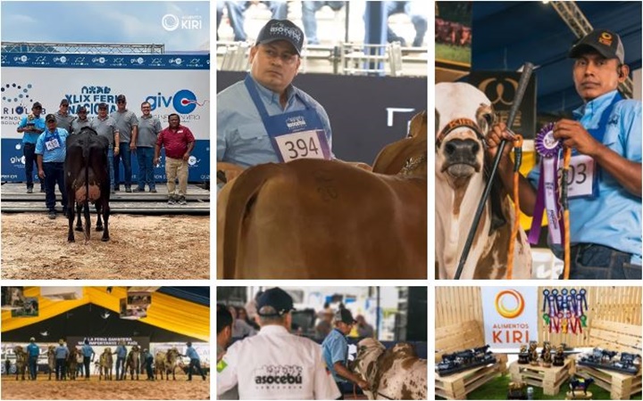 Feria Nacional Cebú en Lara 2026 1