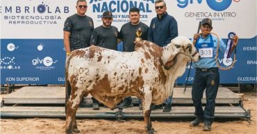 Feria Nacional Cebú en Lara 2026 2