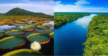 La Amazonia colombiana