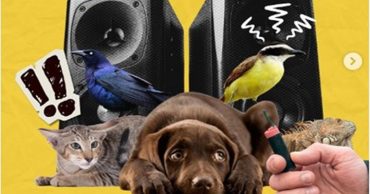 Música daña animales