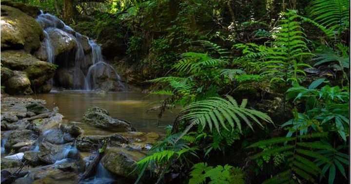 Parque Nacional Terepaima 1
