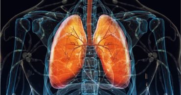 Pulmones