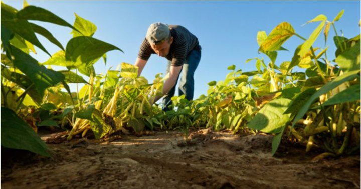 Agricultores Monagas Agricultores Monagas