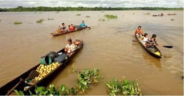 Cultivos Delta Amacuro