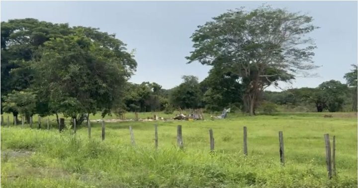 Finca Guanarito en Portuguesa.