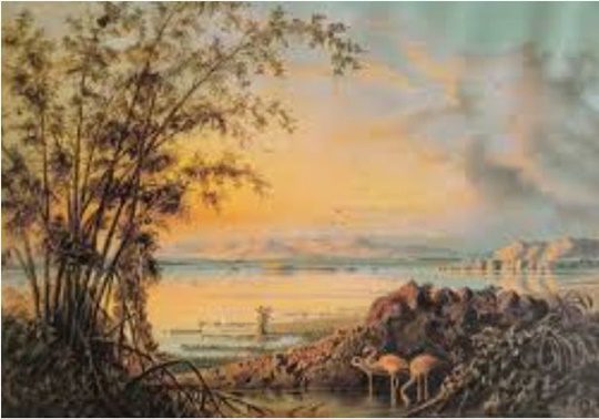 Laguna de Tacarigua pintura