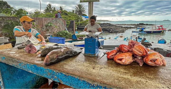 Mujeres pescadoras Ecuador