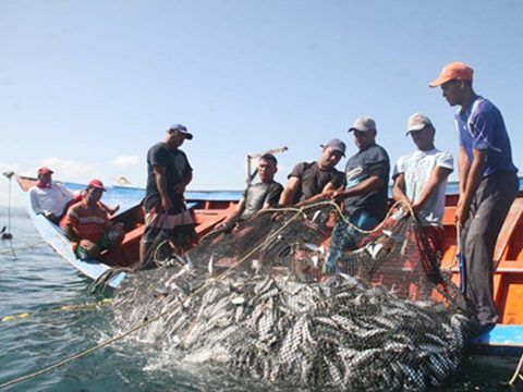 Pescadores del oriente venezolano