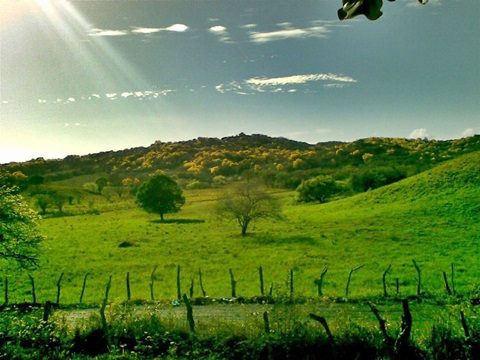 Recuerdo de Carrizal 07