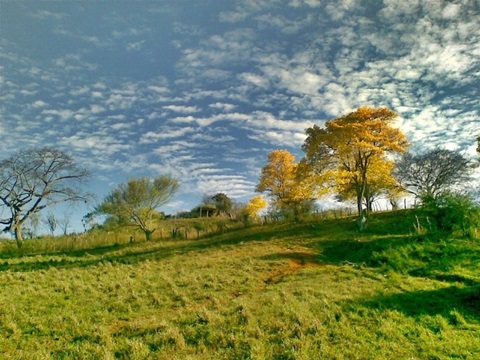 Recuerdo de Carrizal 08