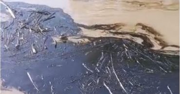 Río Portuguesa petróleo