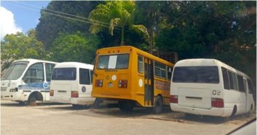 UDO Nueva Esparta transporte