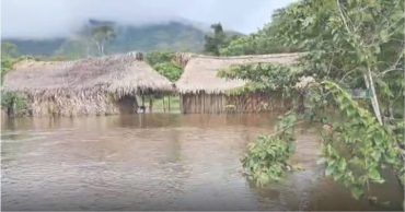 Yanomamis Amazonas