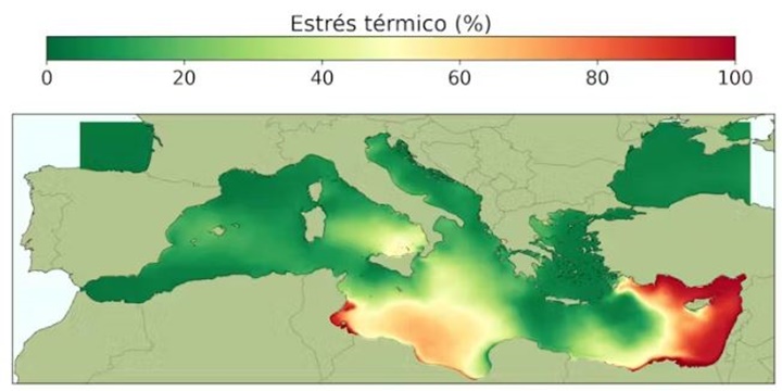 Mar Mediterráneo 2026