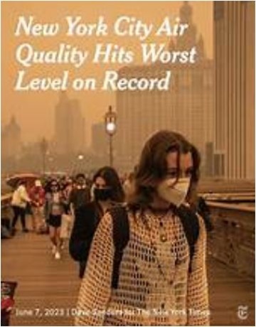 New York humo 7 2026 1