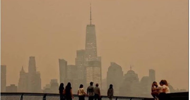 New York humo 7 2026 2