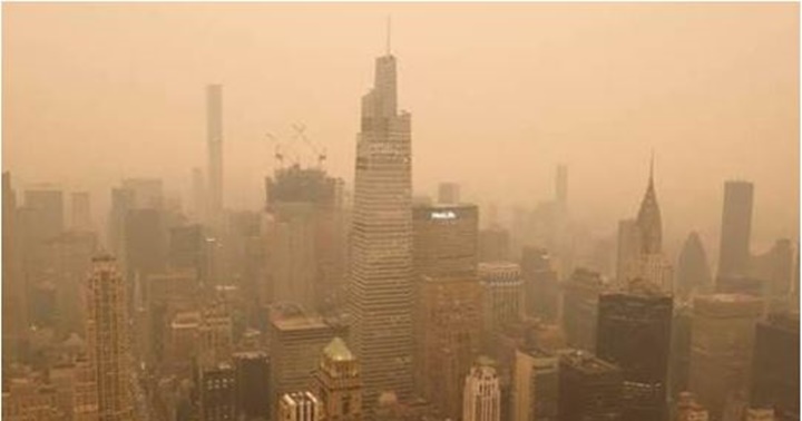 New York humo 7 2026 3