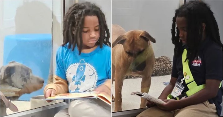 Niña con perritos