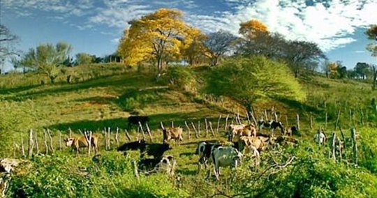 Recuerdo de Carrizal