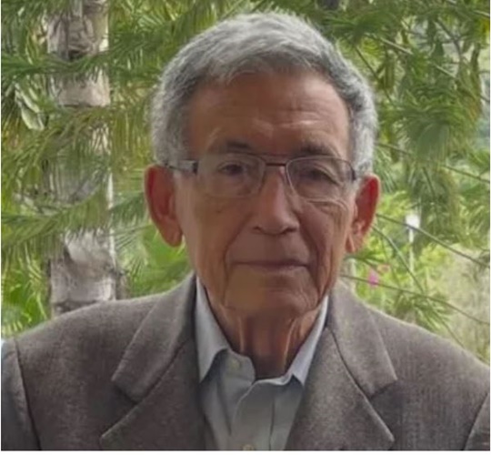 Cesar Peña Vigas