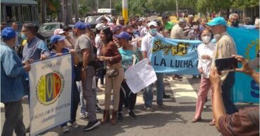 Sinvema Sucre 9 2026