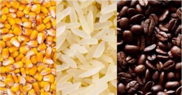 Maíz, arroz y café