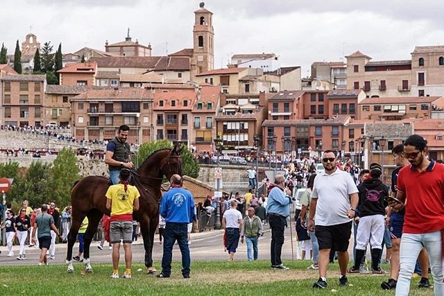 tordesillas toro de la vega 2022 1 tordesillas toro de la vega 2022 1