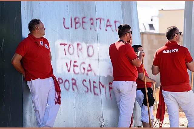 tordesillas toro de la vega 2022 12 tordesillas toro de la vega 2022 12