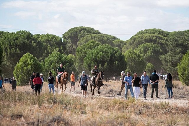 tordesillas toro de la vega 2022 13 tordesillas toro de la vega 2022 13