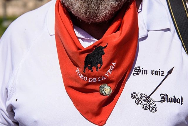 tordesillas toro de la vega 2022 14 tordesillas toro de la vega 2022 14