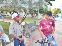 17 08 2024 Plaza Bolivar 007 17 08 2024 Plaza Bolivar 007